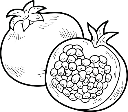 Online coloring book: Coloring half of pomegranate